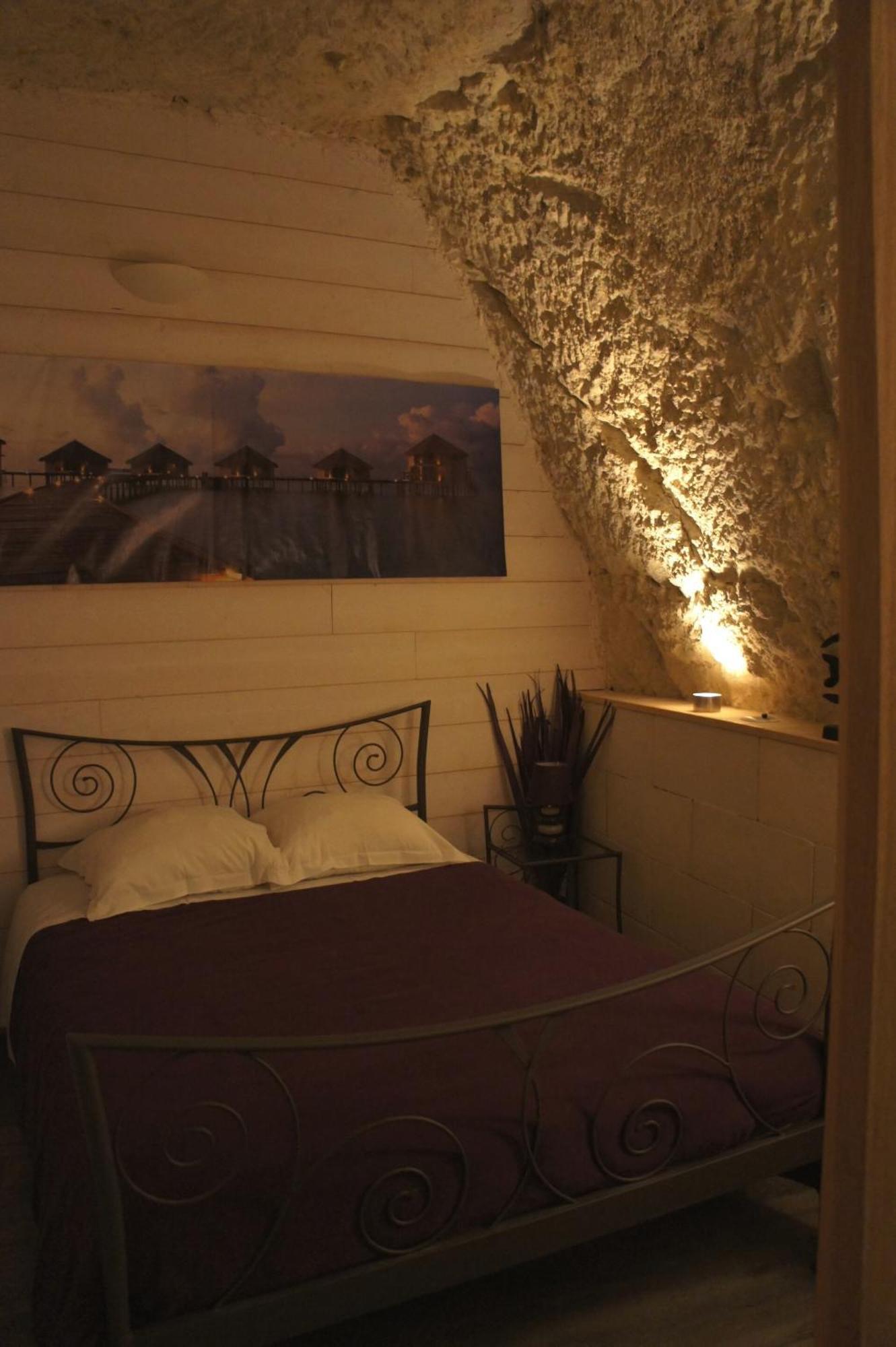 Chambres D'Hotes Troglodytes Le Clos De L'Hermitage Amboise Eksteriør bilde